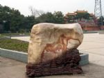 Chinese Sturgeon Museum