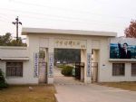 The Chinese Sturgeon Museum The Chinese Sturgeon Museum