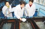 The Chinese Sturgeon Museum The Chinese Sturgeon Museum