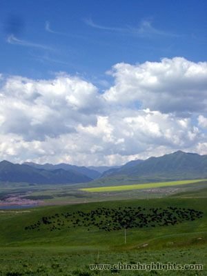Shandanjun Horse Farm