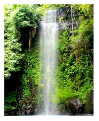 Jiulong Waterfall Forest Park, Nanning