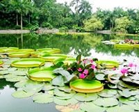Qingxiu Mountain Scenic Area