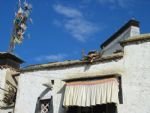 Tibetan village