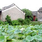 Yangmei Ancient Town