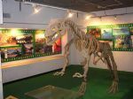 Zhuhai Museum