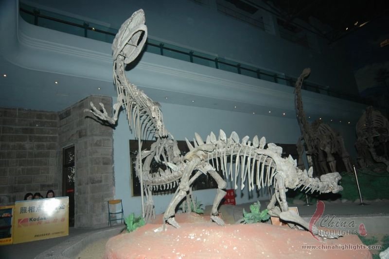 Dinosaur Museum of Zigong
