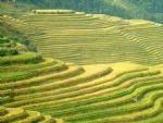 Guilin and longji Ancient Zhuang Ethnic Village Tour