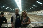 The Terracotta Warriors and Horses