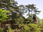 The Yellow Mountains The Yellow Mountains