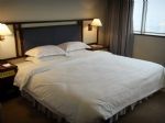Celeste Palace International Hotel