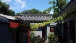 Chinese Box Hostel