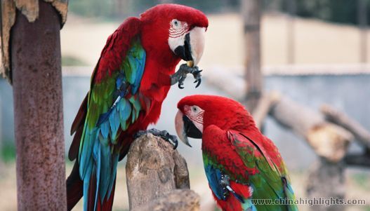 Zhujiajiao Wild Animals and Plants Wetland Park