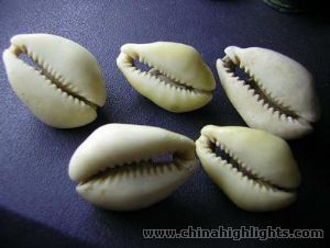 natural-shell-money-m.jpg