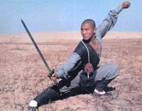 Shaolin Kung Fu