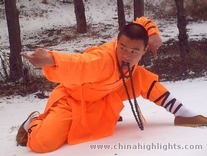 Zhengzhou Shaolin Kungfu Festival