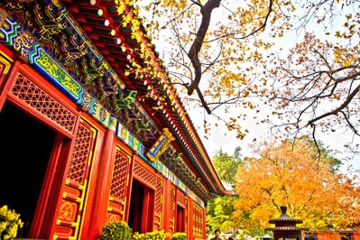 colline profumate pechino