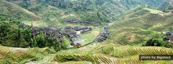 Rizière en terrasse de Longji