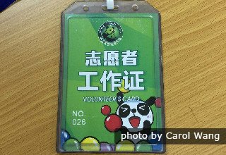 Permis de travail du programme de bénévolat Dujiangyan Panda
