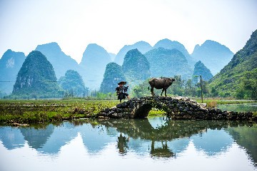 Les paysages karstiques de la rivière Li à Guilin