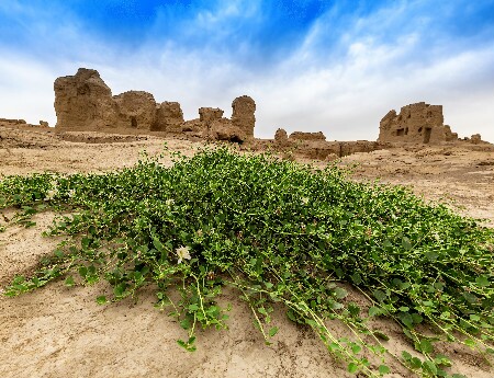 La vieille ville de Jiaohe