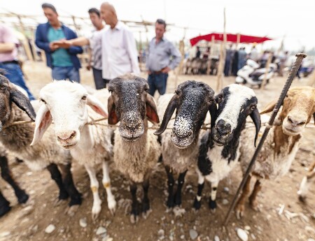 le bazar du dimanche