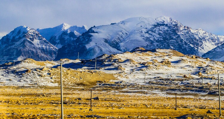 Plage d’herbe dorée d’Aral