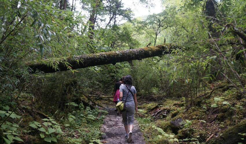 La Vallé Dengshenggou