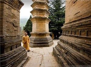 Pagoda Forest