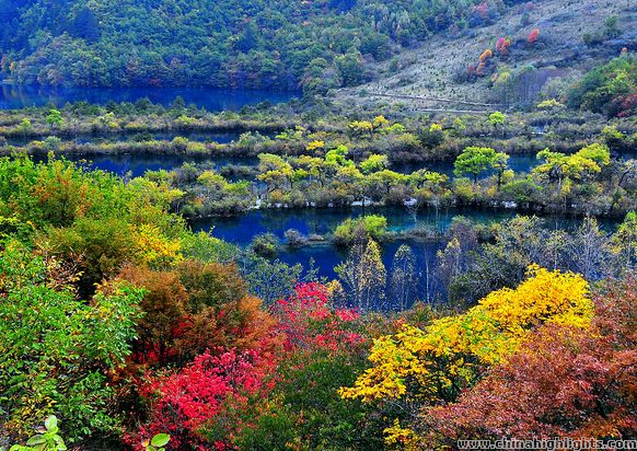 九寨溝、黄龍、成都パンダ基地ツアー（3泊4日間）