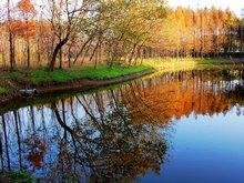 Погода Шанхая в Ноябре