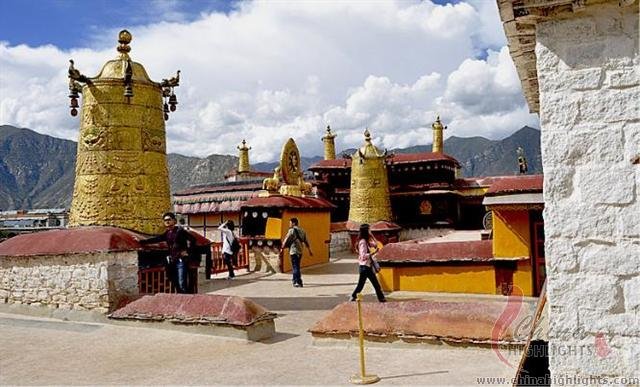 Маленький Джоканг