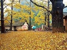 Погода Гуйлинь в Ноябре