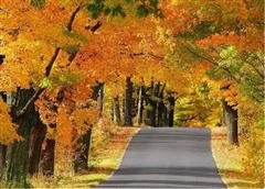 Noviembre en Shanghai