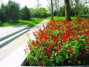 Погода Макао в Апреле