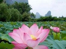 Погода Гуйлинь в Июне