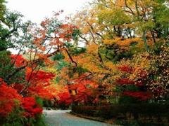 Beijing en Septiembre