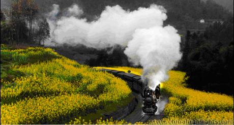 四川省の春の風物詩•菜の花の絶景と世界遺産楽山大佛•峨眉山6日間