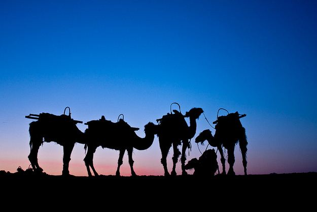 西安、敦煌、新疆のシルクロードハイライトツアー6日間