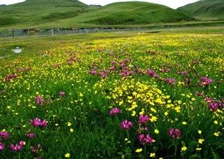 Лхаса погода в октябре