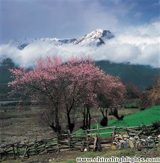 Тибетская погода в марте