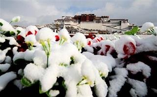 Лхаса погода в феврале