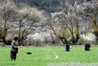Тибетская погода в апреле