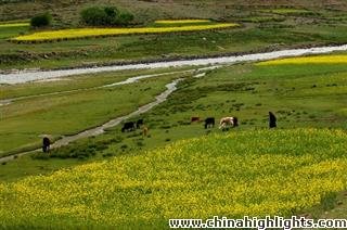 Тибетская погода в июне
