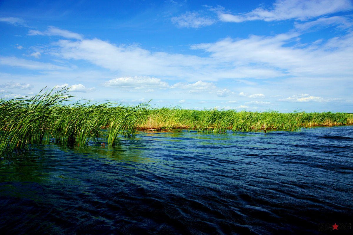 ハルピンチチハル3泊4日