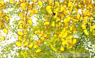 Погода Чэнду в Октябре