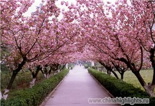 Погода Сиань в Апреле