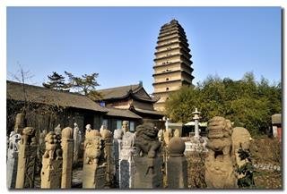 Пагода Маленький дикий гусь