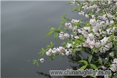 лето в Ханчжоу