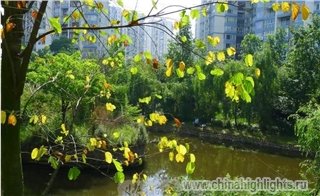 Погода Чэнду в Сентябре