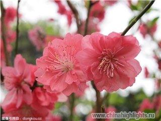 Погода Гуанчжоу в Феврале